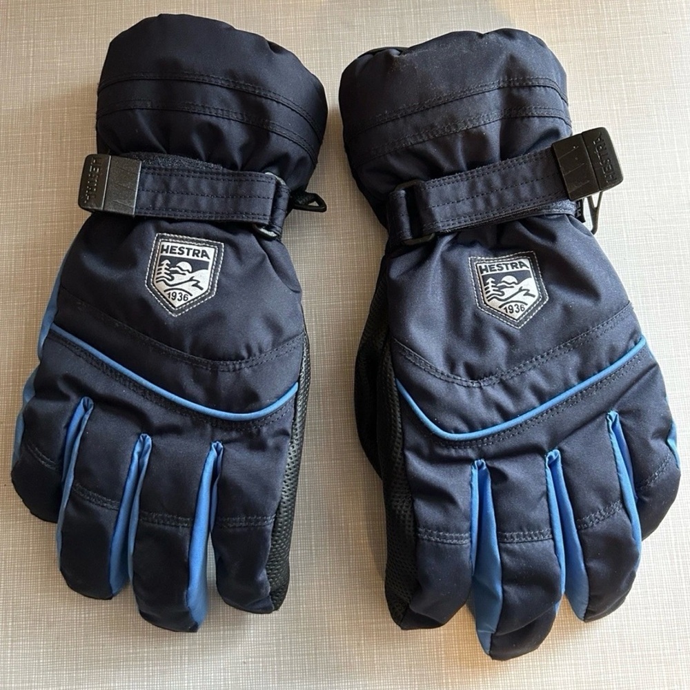 Hestra Navy Ski Gloves